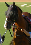 IMGP0041t590.jpg