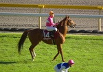 IMGP0101tr530a.jpg