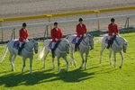 IMGP0112tr530a.jpg