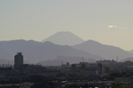 IMGP0135r530.jpg